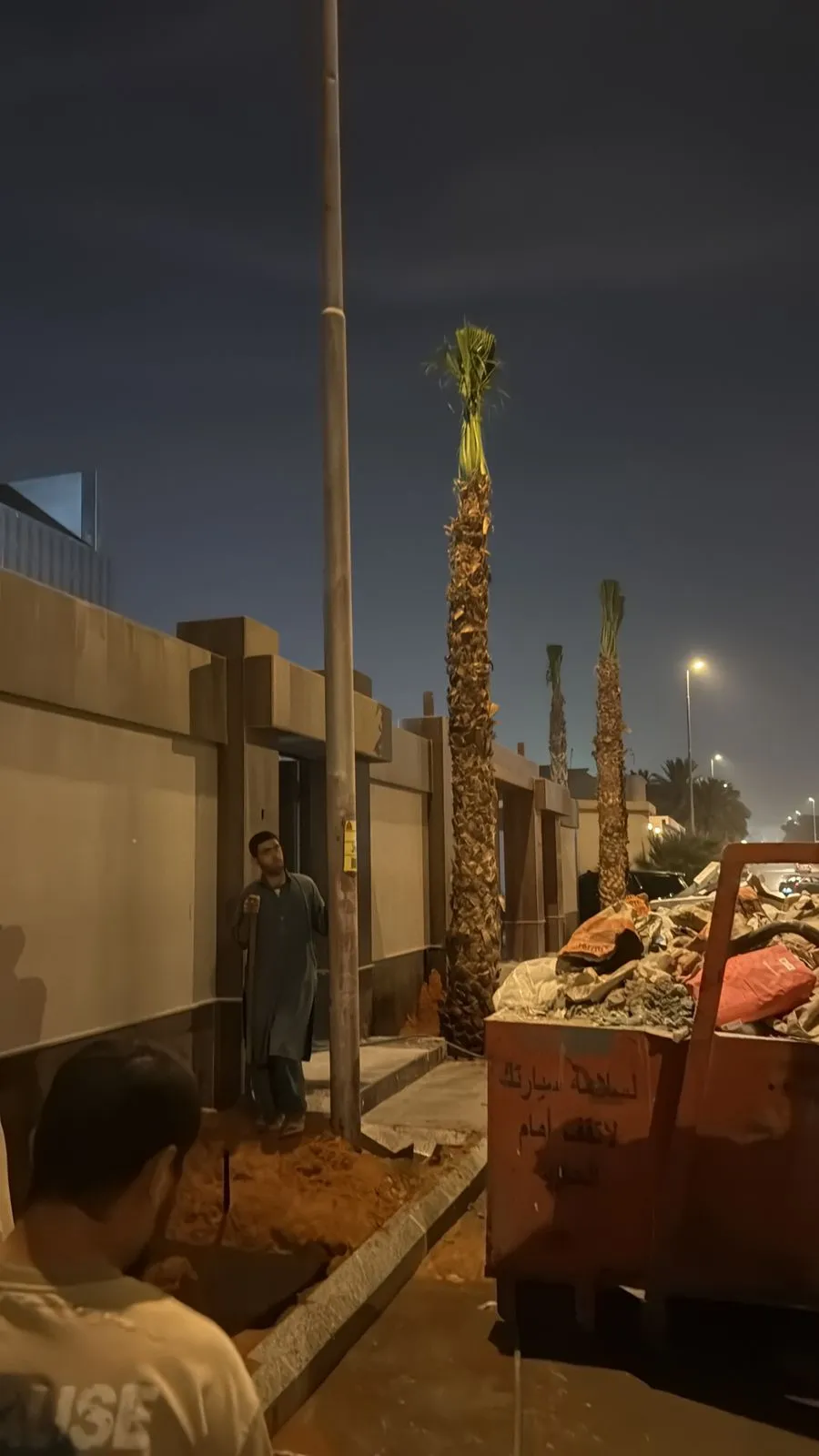 زراعة نخيل — نصائح وإرشادات العناية بالنخيل بعد الزراعة